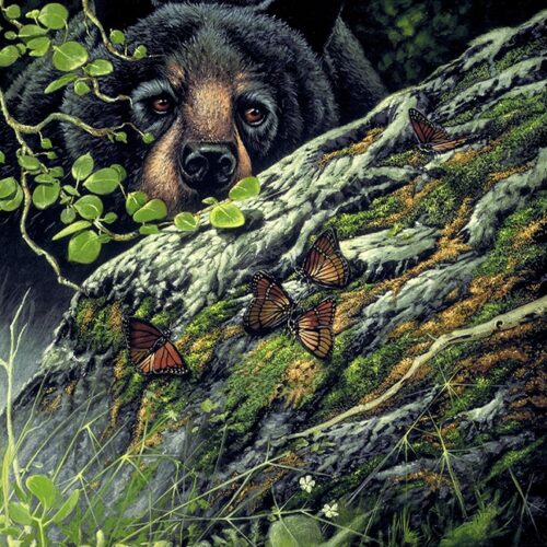 Bear and Butterfly *L.E*