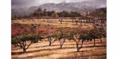 Apple Seeds Estate