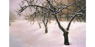 Appletrees in Winter