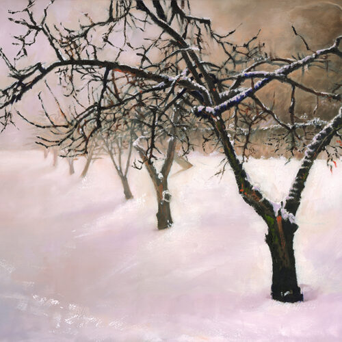 Appletrees in Winter