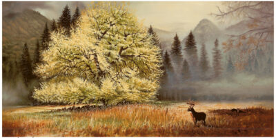 Cooks Meadow