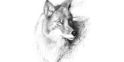 Dogs of the Flatlands