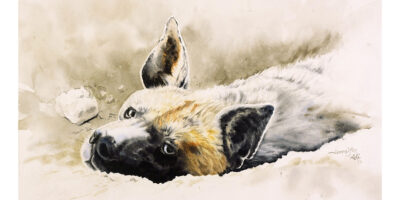 Gregor the Hyena