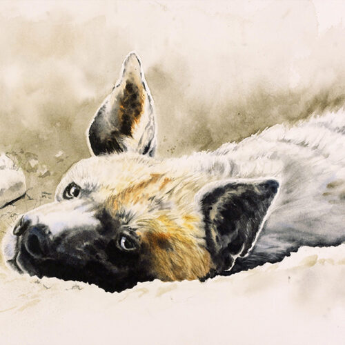 Gregor the Hyena