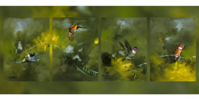 Hummers