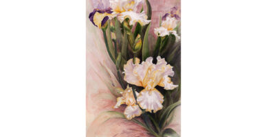 Irises to Share