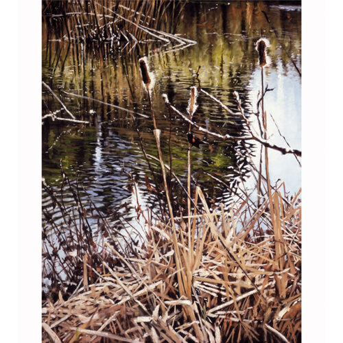 Water Front Property