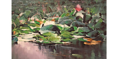 Water Lilies