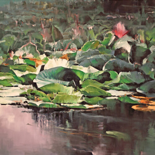 Water Lilies