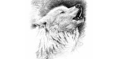 White Wolf
