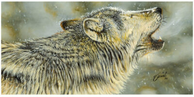 Winter Song