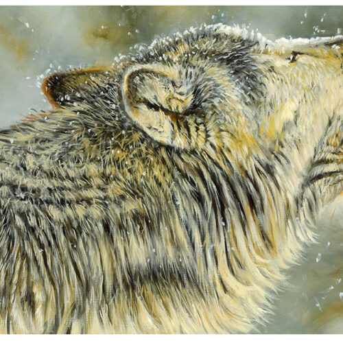 Winter Song